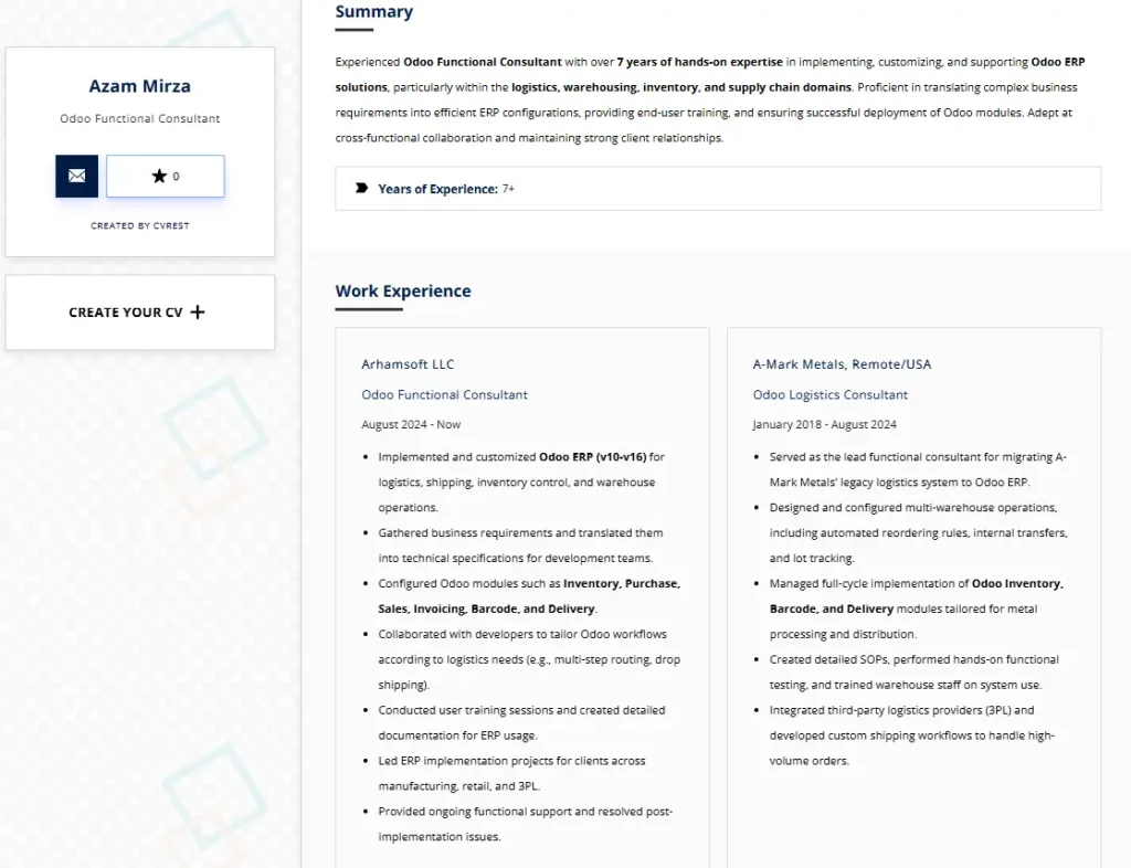 The “Logistics-Focused Functional Consultant” Resume