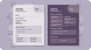 Odoo Consultant CV Samples: Functional and Technical Consultant Resumes