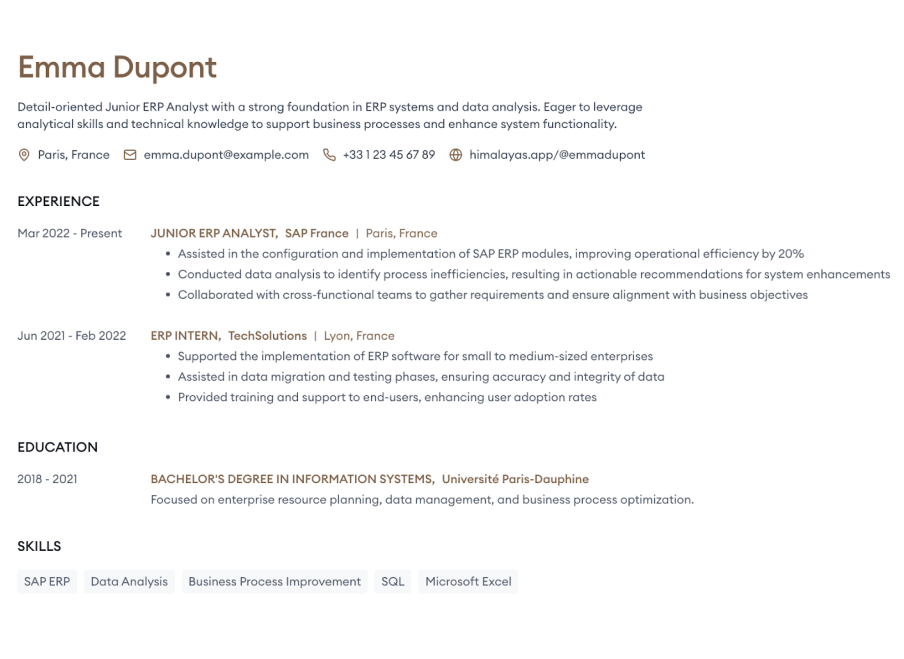 The “Junior Data-Driven ERP Analyst” Resume