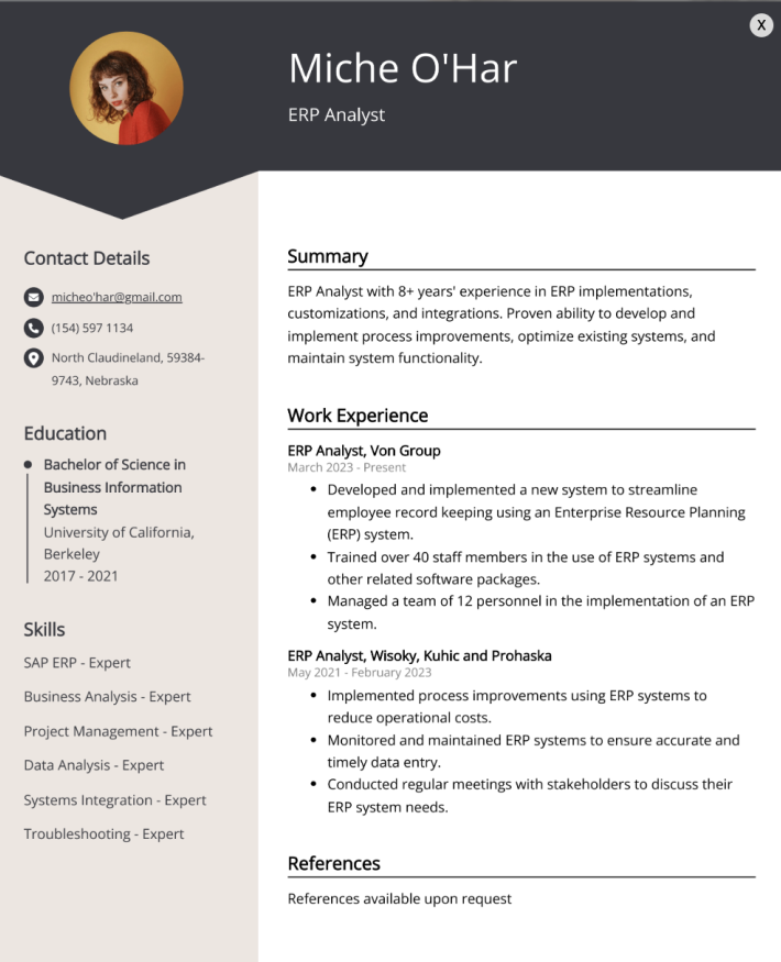 The “Process-Focused ERP Analyst” Resume