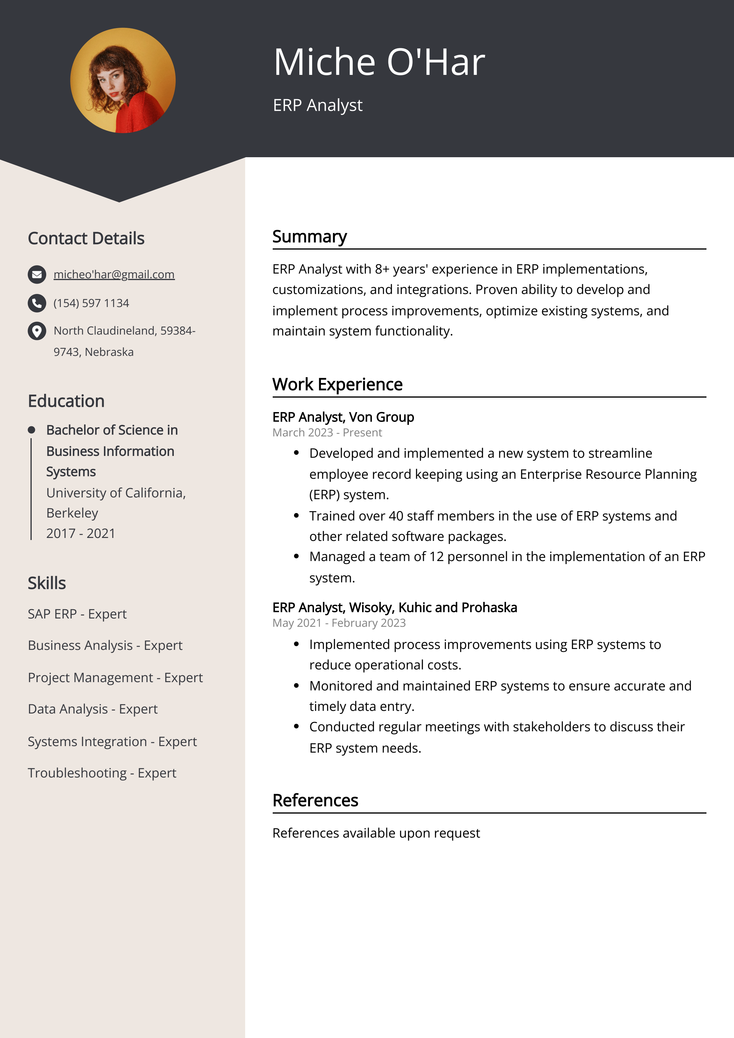 The “Process-Focused ERP Analyst” Resume