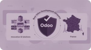 Best Odoo Development Company in France: Provider Selection Guide