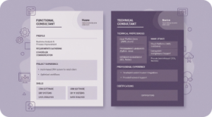 Odoo Consultant CV Samples: Functional and Technical Consultant Resumes