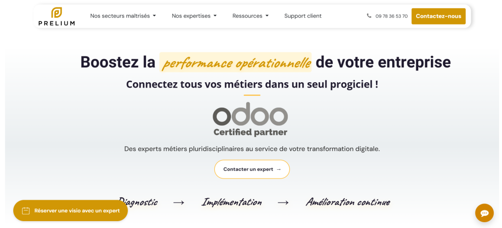 Odoo Development Company in France Prelium